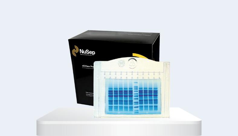 nUView Tris-Glycine UV reactive Precast Gel for Gel Electrophoresis – NuSep