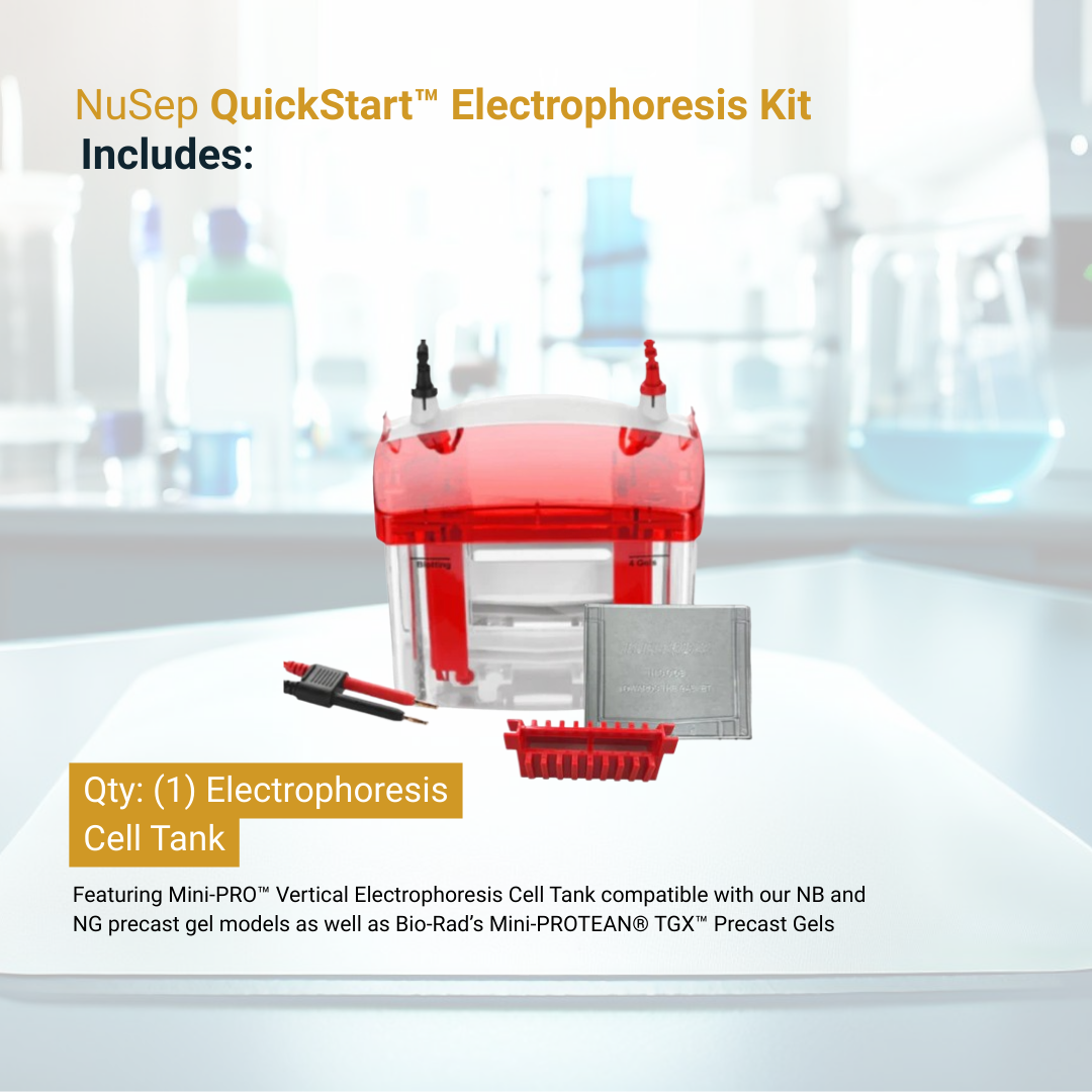QuickStart™ Electrophoresis Kit