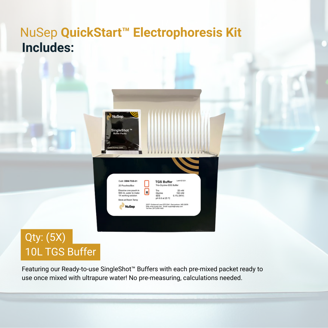 QuickStart™ Electrophoresis Kit