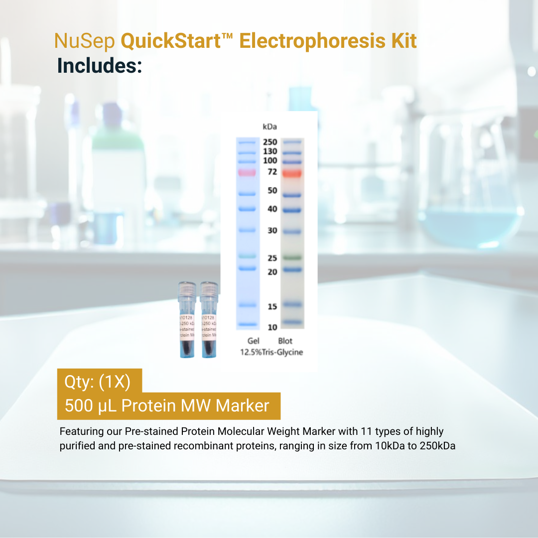 QuickStart™ Electrophoresis Kit
