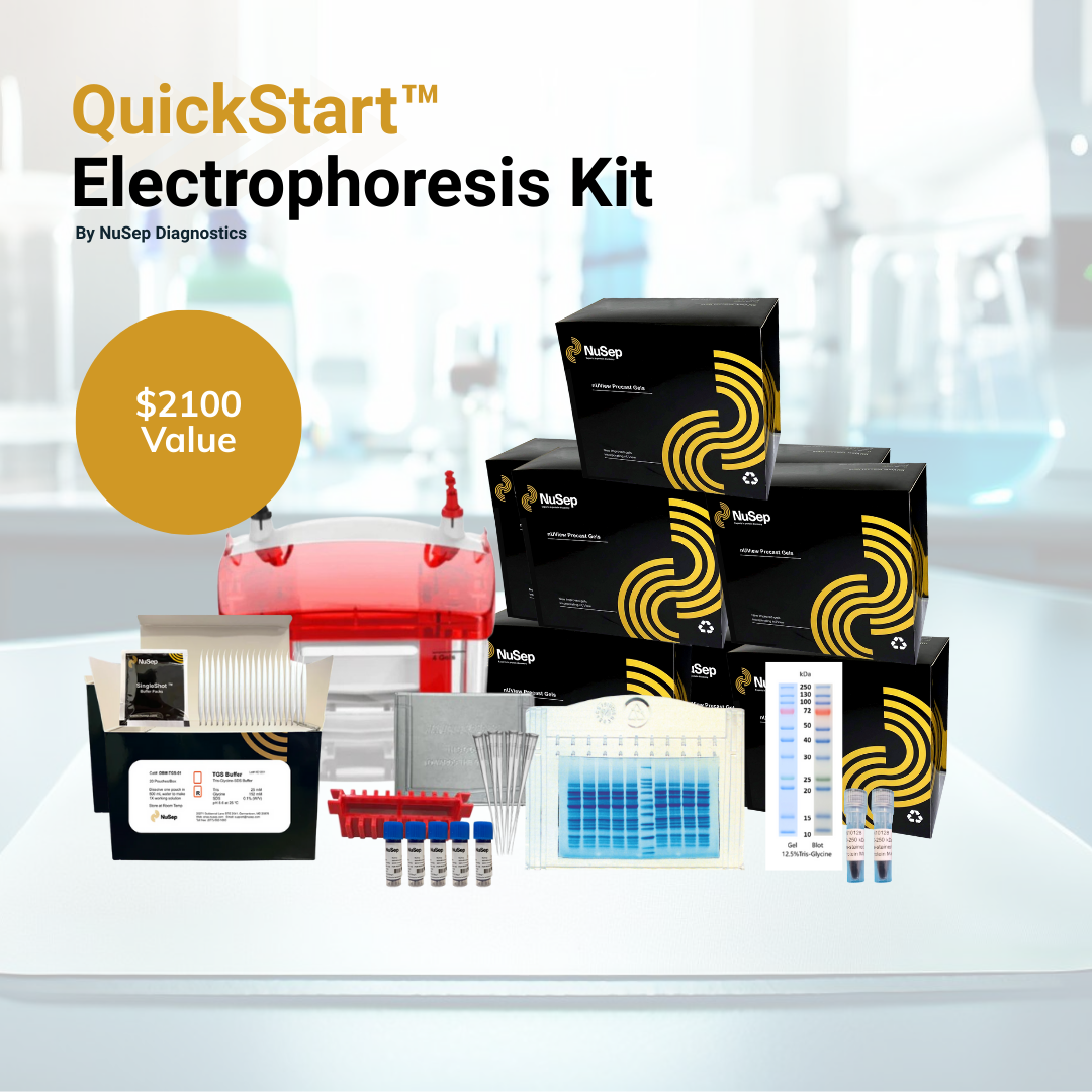 QuickStart™ Electrophoresis Kit