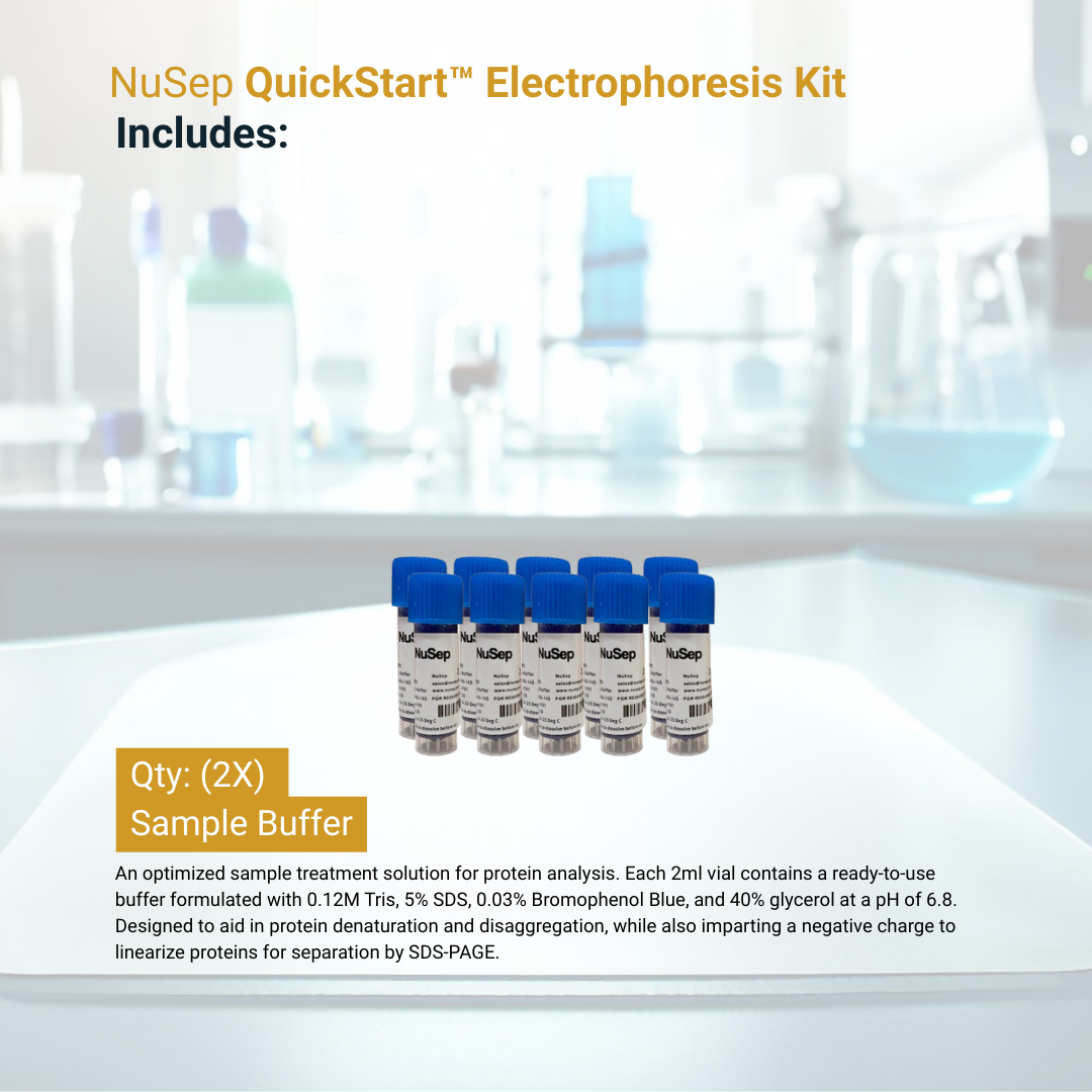 QuickStart™ Electrophoresis Kit