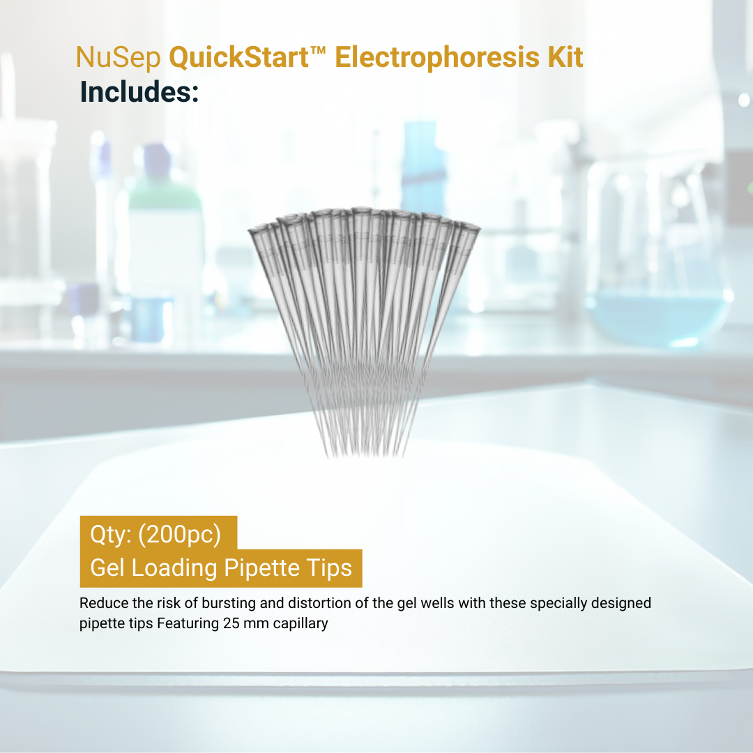QuickStart™ Electrophoresis Kit